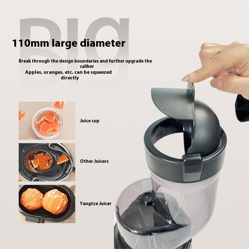 Portable Electric Fruit Juicer